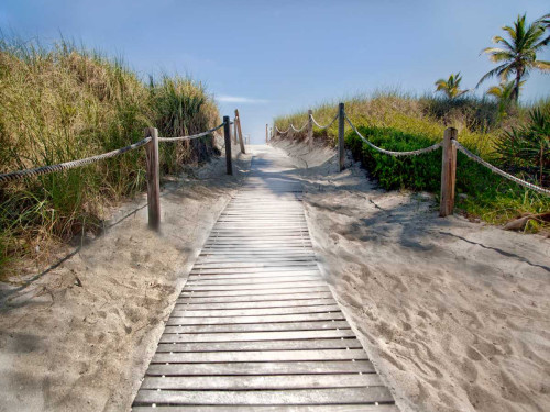 Scene Along the Water IV Poster Print - Golie Miamee