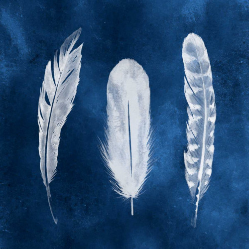 Cyanotype Feathers I Poster Print - Grace Popp