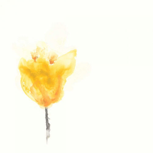 Expressive Blooms VIII Poster Print - June Erica Vess