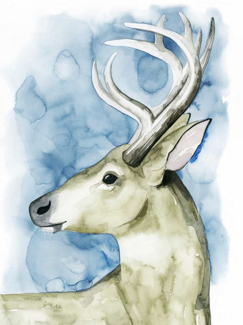 Wandering Stag I Poster Print - Grace Popp