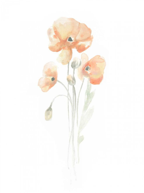 Delicate Bouquet I Poster Print - June Erica Vess