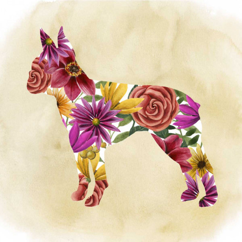 Flower Power Pup II Poster Print - Grace Popp