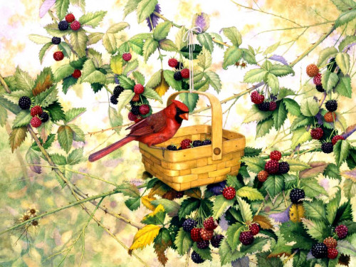 Berry Picker Poster Print - Marcia Matcham