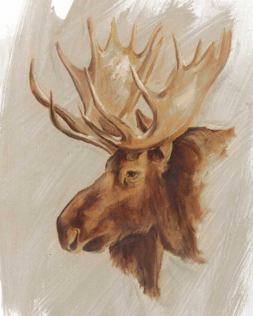 Western American Animal Study II Poster Print - Ethan Harper