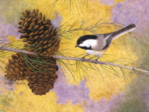 Chickadee in the Pines II Poster Print - Marcia Matcham
