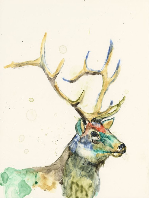 Custom Hi Fi Wildlife III Poster Print - Jennifer Goldberger