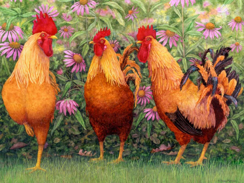 Roosters en Place I Poster Print - Marcia Matcham