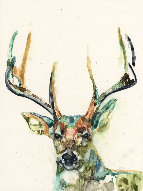 Custom Hi Fi Wildlife II Poster Print - Jennifer Goldberger