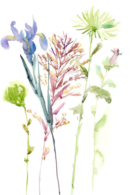 Watercolor Floral Study III Poster Print - Melissa Wang