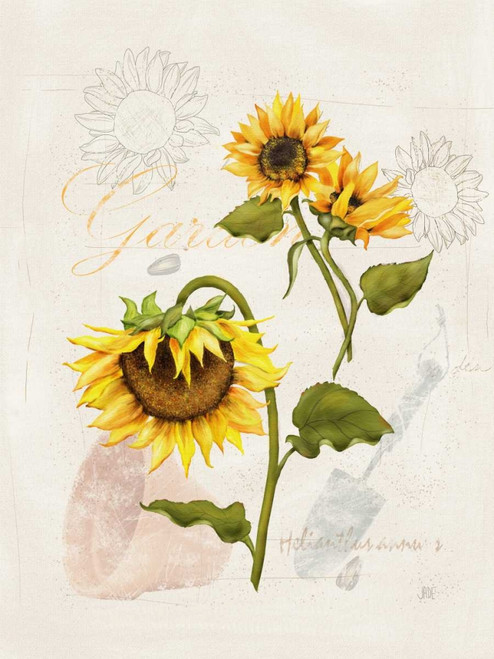 Romantic Sunflower I Poster Print - Jade Reynolds