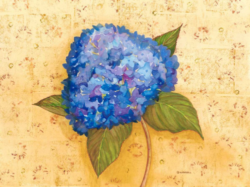 Hydrangea Love II Poster Print - Wendy Russell
