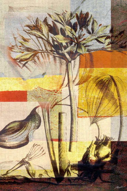 Lily Mix II Poster Print - John Butler