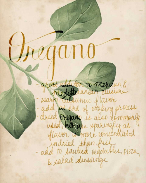 Herb Study III Poster Print - Grace Popp