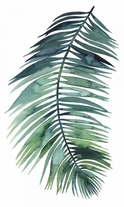 Untethered Palm VII II Poster Print - Grace Popp