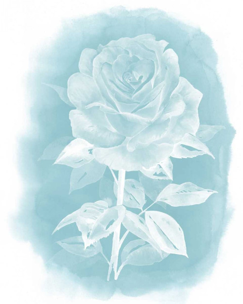 Ghost Rose I Poster Print - Grace Popp