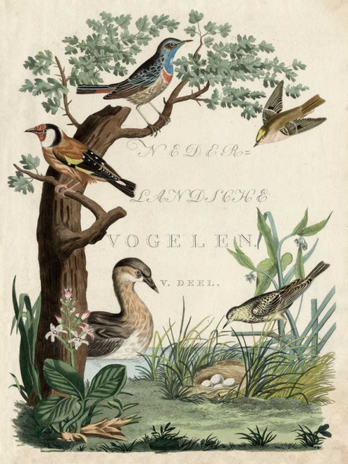 Duck Sanctuary Poster Print - Nozeman