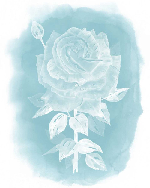 Ghost Rose II Poster Print - Grace Popp