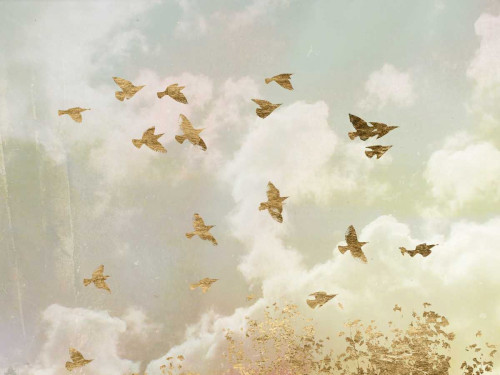 Golden Flight II Poster Print - Jennifer Goldberger