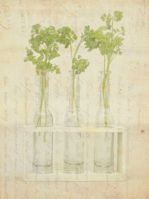 Herb Still Life I Poster Print - Irena Orlov