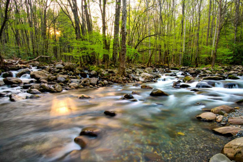 Morning Sunshine II Poster Print - Danny Head