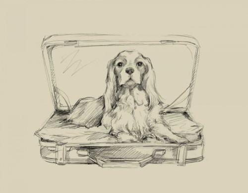 Stowaway IV Poster Print - Ethan Harper