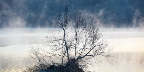 Scene on the Water VII Poster Print - James McLoughlin