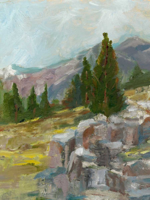 Rocky Hillside II Poster Print - Ethan Harper