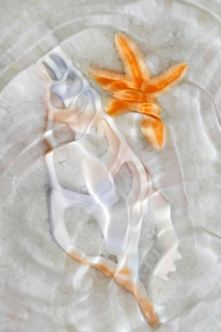 Underwater Light Waves VII Poster Print - Leda Robertson