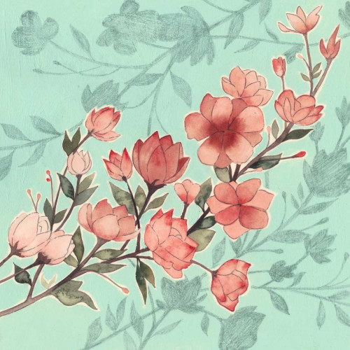 Cherry Blossom Shadows I Poster Print - Grace Popp