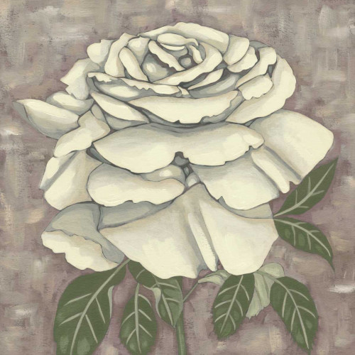 Silver Rose II Poster Print - Chariklia Zarris