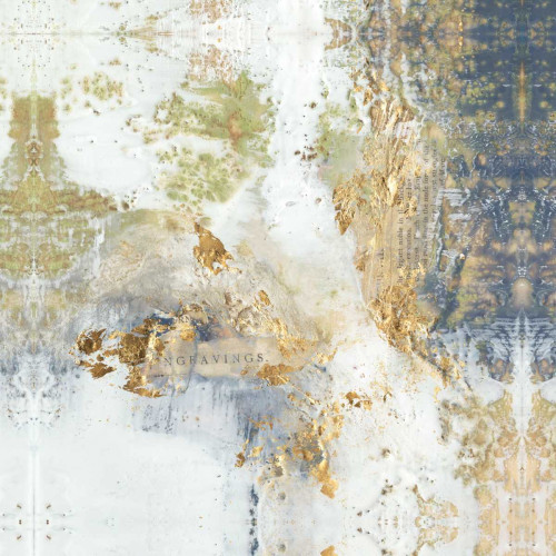 Gilded Aerial Poster Print - Jennifer Goldberger