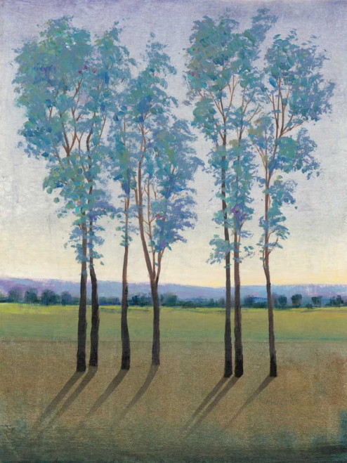 Acreage I Poster Print - Tim OToole