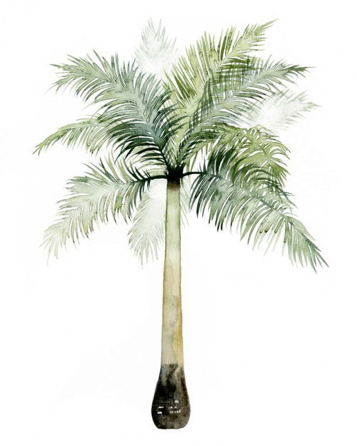 Watercolor Palm of the Tropics II Poster Print - Grace Popp