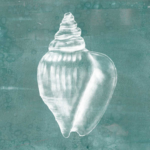 Solitary Shell II Poster Print - Jennifer Goldberger