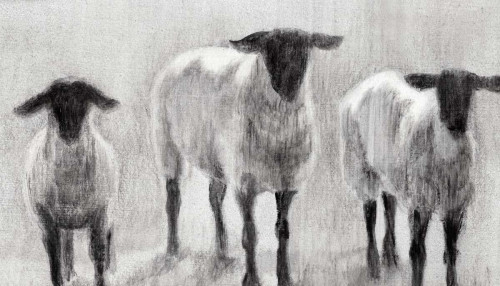 Rustic Sheep II Poster Print - Ethan Harper