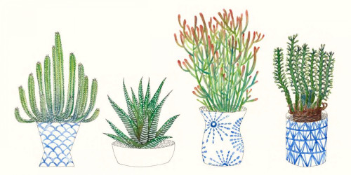 Four Succulents I Poster Print - Melissa Wang