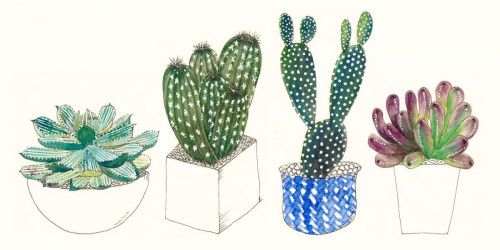 Four Succulents II Poster Print - Melissa Wang
