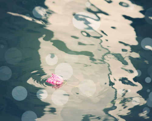 Venice Bokeh XIII Poster Print - Sylvia Coomes