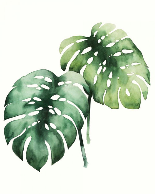 Tropical Plant I Poster Print - Grace Popp