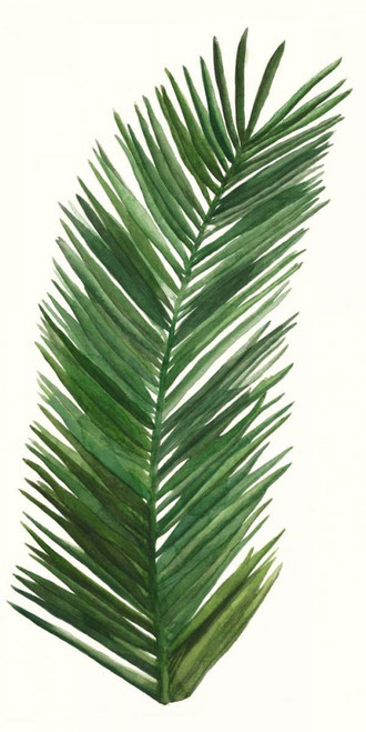 Tropical Breeze Leaves V Poster Print - Naomi McCavitt