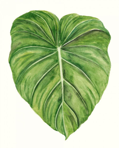 Tropical Breeze Leaves II Poster Print - Naomi McCavitt