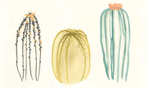 Funky Succulents III Poster Print - June Erica Vess