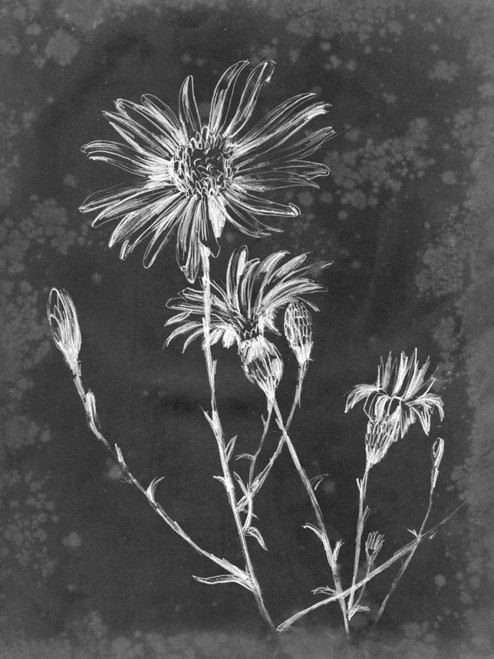 Slate Floral III Poster Print - Ethan Harper