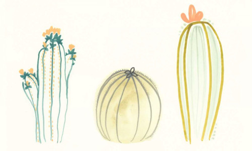 Funky Succulents IV Poster Print - June Erica Vess