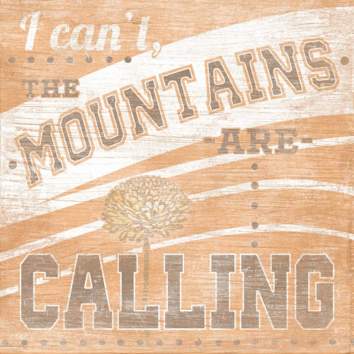 Lodge Life IV Poster Print - June Erica Vess