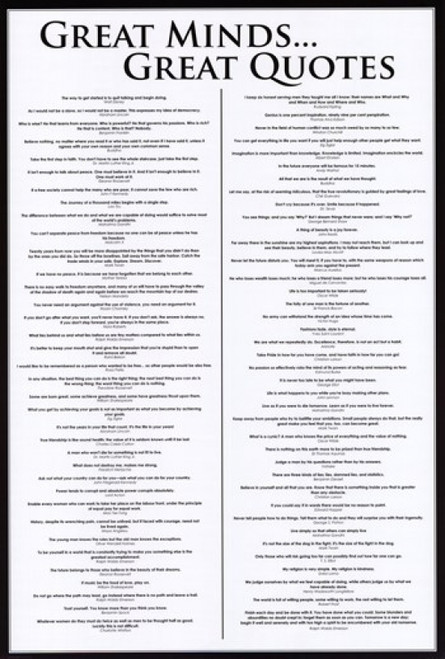 Great Minds - Great Quotes Poster Poster Print - Item # VARPYRPP31624