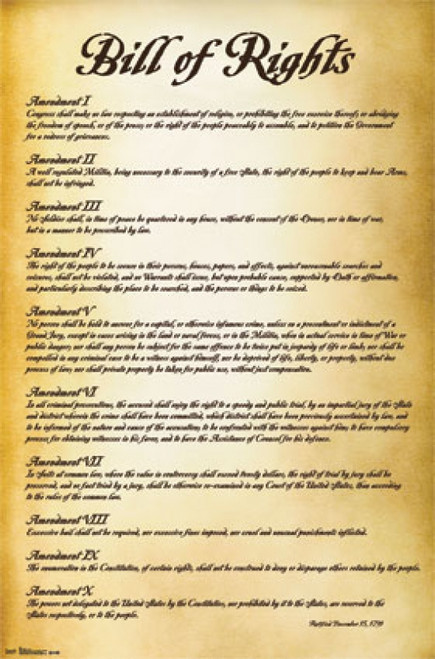 Bill of Rights - USA Poster Poster Print - Item # VARTIARP6908