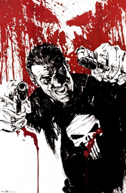 Punisher - Pistols Poster Print - Item # VARTIARP5879