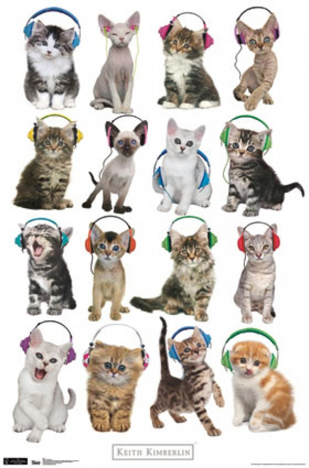 Kitten - Headphones Poster Print - Item # VARTIARP1124