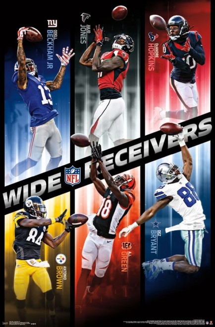 NFL - Receivers 16 Poster Poster Print - Item # VARTIARP14813
